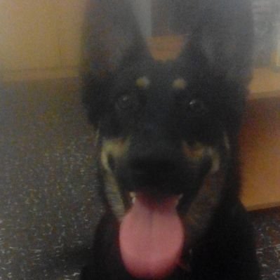 Profile Picture of John McBride (@DeadlyBread) on Twitter