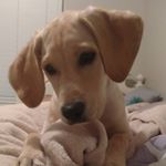 Profile Picture of Jenn (@hoythuntress14) on Instagram