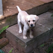 Profile Picture of Rosalind Lim (@rosalindlim7353) on Youtube