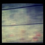 Profile Picture of Daniel Cunha (@dbccunha) on Instagram