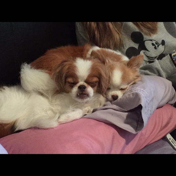 Profile Picture of Bay Silvaggio (@baysilv) on Poshmark