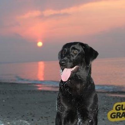 Profile Picture of Erik Beyer Jensen (@ebj_gistrup) on Twitter