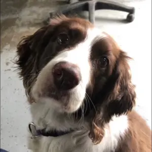 Profile Picture of steph (@stevanie247) on Tiktok