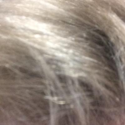 Profile Picture of Eric Storms (@SwagStorms) on Twitter