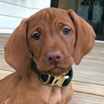 Profile Picture of Larkin (@larkininlarkspur) on Instagram