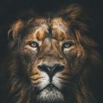 Profile Picture of Alexander Vasilevich (@alexander771_) on Instagram