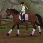 Profile Picture of Vivian Jones (@vivian_equestrian.rrp) on Instagram