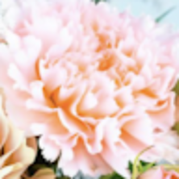 Profile Picture of Aviva Saphier (@arnicas) on Poshmark