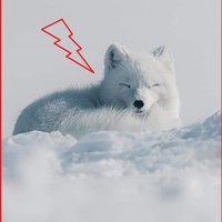 Profile Picture of Vincent Person (@vincent-person-2) on Quora