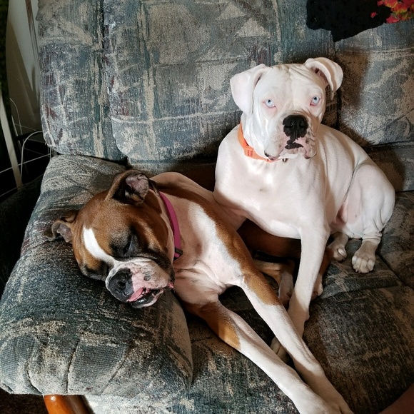 Profile Picture of Judy Morarie (@morariejudy08) on Poshmark