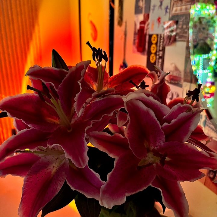 Profile Picture of gray (@graysonbamford_) on Tiktok