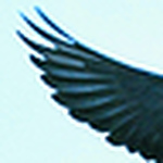 Profile Picture of martin espitia (@martin espitia) on Flickr