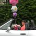 Profile Picture of Sandy Acornley (@sandy526) on Pinterest
