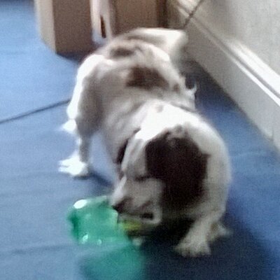 Profile Picture of Terrence Yates (@YatesTerrence) on Twitter