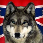 Profile Picture of Austin Barron (@rebel_austin18) on Instagram