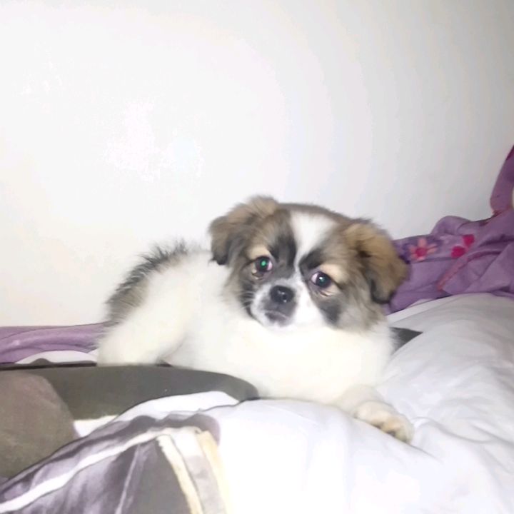 Profile Picture of Jessica et neige 💜 (@gunder.patrick) on Tiktok
