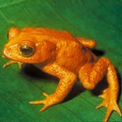 Profile Picture of Bill Kolodzey (@BillKolodzey) on Youtube