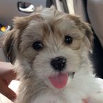 Profile Picture of Tony Kirk (@tonykirk3581) on Instagram