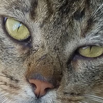Profile Picture of Carter Helm (@Carterhelm2) on Twitter