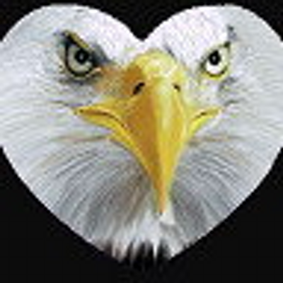 Profile Picture of Jim Stankevich (@eagleheart1023) on Twitter