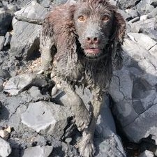 Profile Picture of Kevin Ousley (@kevin_ousley) on Twitter