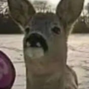 Profile Picture of Michelle Kempf  (@Dorsteneinmo) on Youtube