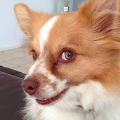 Profile Picture of John Blanco (@johnblanco4895) on Youtube