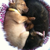 Profile Picture of Kevin Contreras (@kevincontreras8782) on Youtube