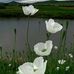 Profile Picture of Robin Abercrombie (@robin.abercrombie.988) on Facebook