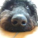 Profile Picture of Dawn Maloney (@dawn_3211968) on Instagram