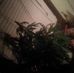 Profile Picture of Shawn Palanuik (@shawn.palanuik.50) on Facebook