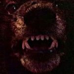 Profile Picture of Robert Rosinski (@biladyn402) on Instagram