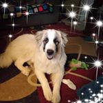 Profile Picture of Jana Dunn (@dunnjana99) on Instagram