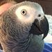 Profile Picture of Joe Anello (@anello248) on Pinterest