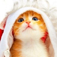 Profile Picture of Iris Shaw (@iris-shaw-7) on Quora