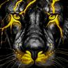 Profile Picture of Hoggy (@@wayneraney) on Tiktok
