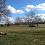 Profile Picture of Toby Adamson (@toblerone1878) on Instagram