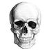 Profile Picture of Chris Branham (@chris.branham.9615) on Facebook