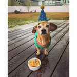 Profile Picture of Meg (@meglarsen12) on Instagram