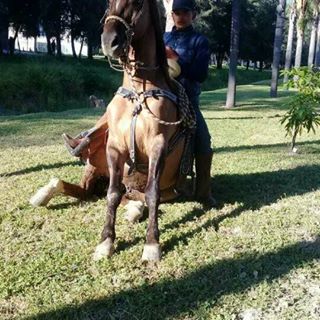 Profile Picture of Rogelio Vasquez (@rogelio.vasquesmodesto) on Facebook