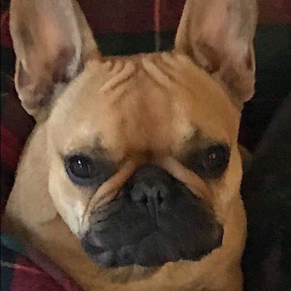 Profile Picture of Galaxie Hockenjos (@shockenjos) on Poshmark