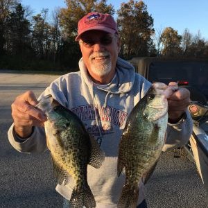 Profile Picture of Scott Kell (@tskell55) on Twitter