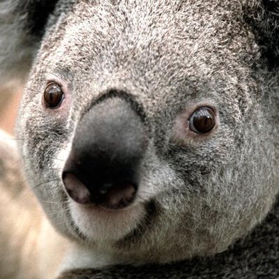 Profile Picture of Michael Malouff (@Myth566) on Twitter