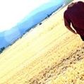 Profile Picture of Darwin Cole (@dsmc332) on Pinterest