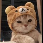 Profile Picture of Ambika Sanjay Soni. (@amy__soni) on Instagram