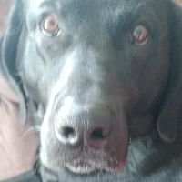 Profile Picture of Blake Perrin (@blake_perrin) on Twitter