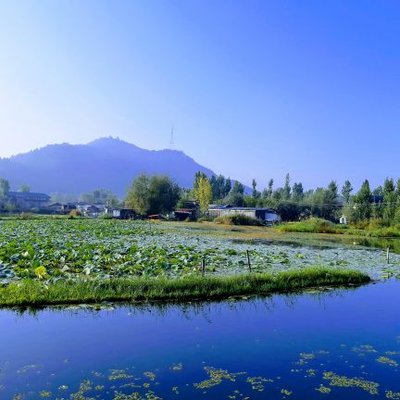 Amitbhat - Twitter Profile Picture of Amitbhat (@amitbhat25) on Twitter