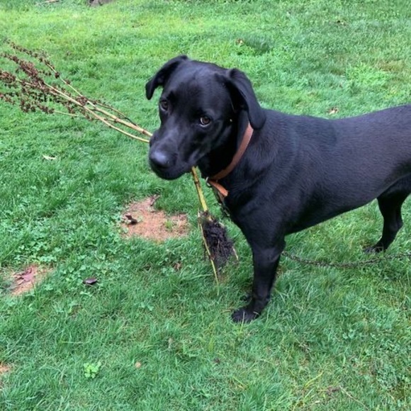 Profile Picture of Nancy Cordisco (@nancycordisco) on Poshmark