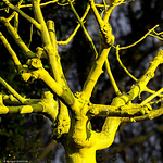 Profile Picture of Richard BIANCHI. (@Richard BIANCHI.) on Flickr