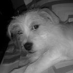 Profile Picture of Patsy Redwine Kellum (@patsyredwine) on Instagram